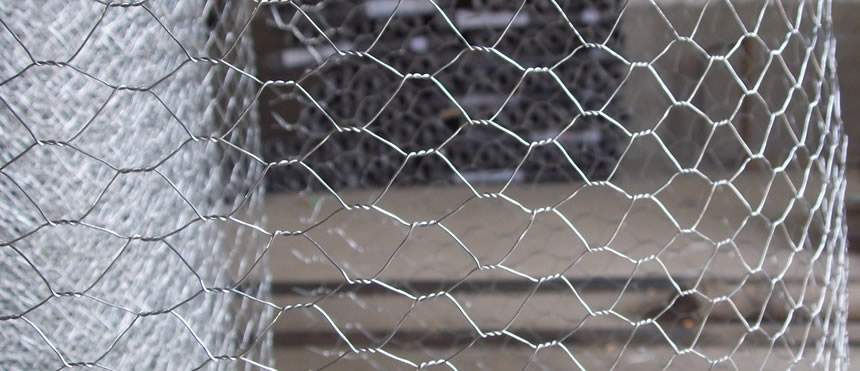 Galvanised Steel Chicken Wire for Wall Plastering Uses