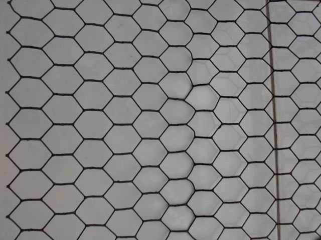 18 Gauge Black Vinyl Coated Hexagonal Chicken Wire