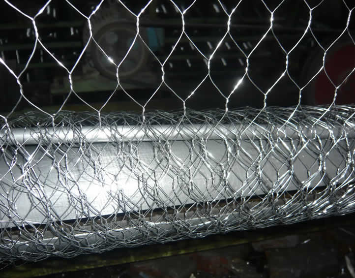 Stainless Steel Chicken Wire