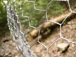 Hot Dipped Galvanized Hexagonal Wire Mesh Chicken Net - China Wire Mesh,  Wire Netting