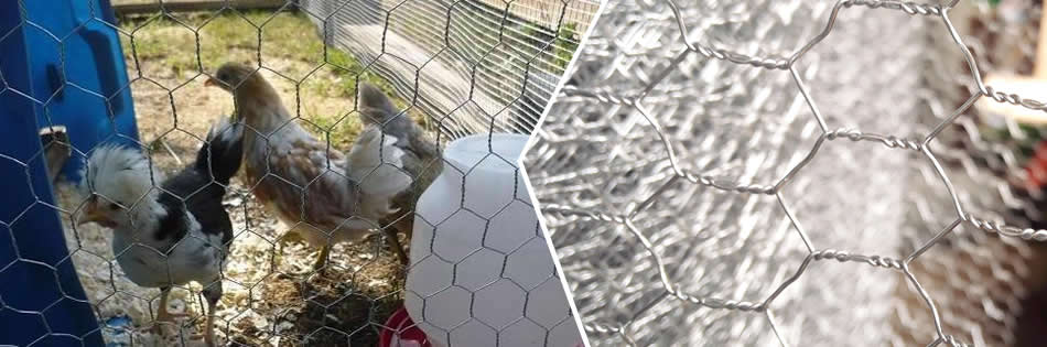 Chicken Hexagonal Mesh Hot Dipped Galvanised Woven Wire Net