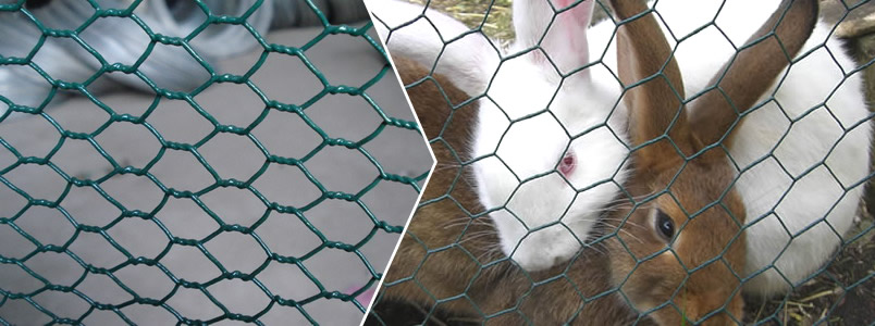 Steel Hexagonal Mesh Rabbit Netting