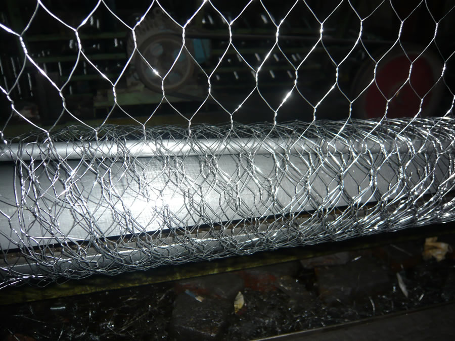 Hexagonal Hole Plastic Chicken Netting Mesh Fence