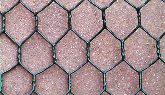 Green Vinyl Coated Galvanized Chicken Net of 2 inch Holes